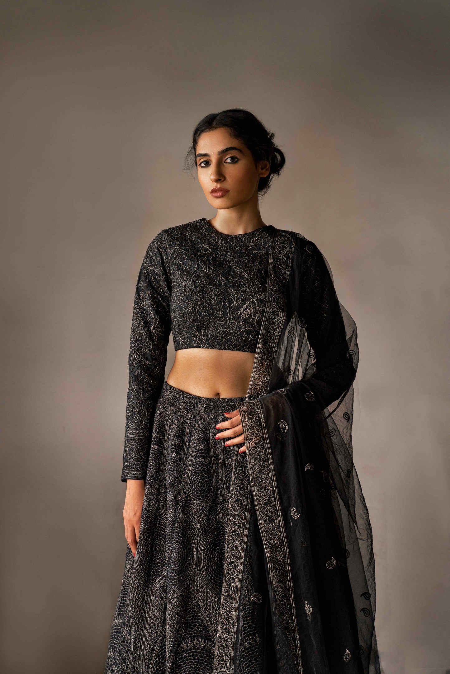 Kashida thread & zari embroidered lehenga set - My Store