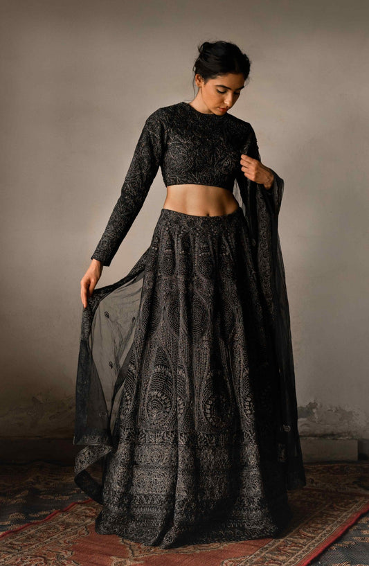 Kashida thread & zari embroidered lehenga set - My Store